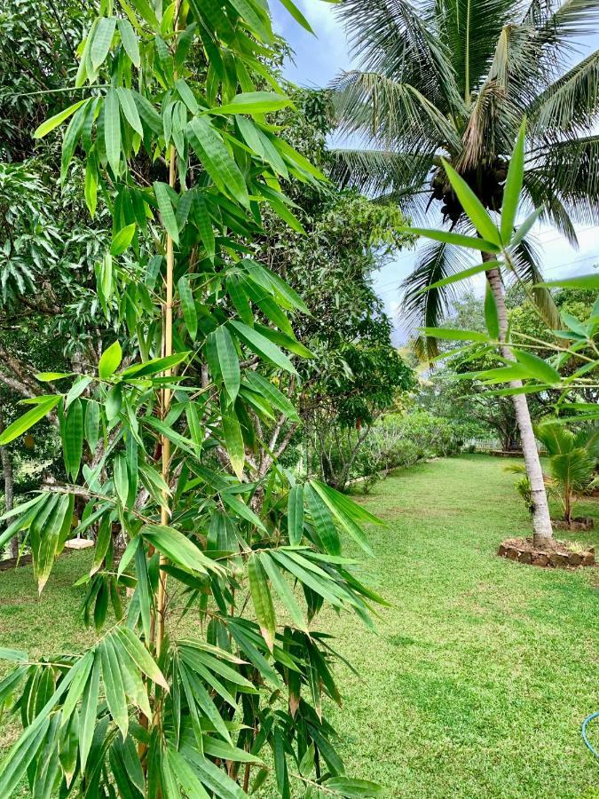 Amandari Holiday Villa Gelioya Luaran gambar