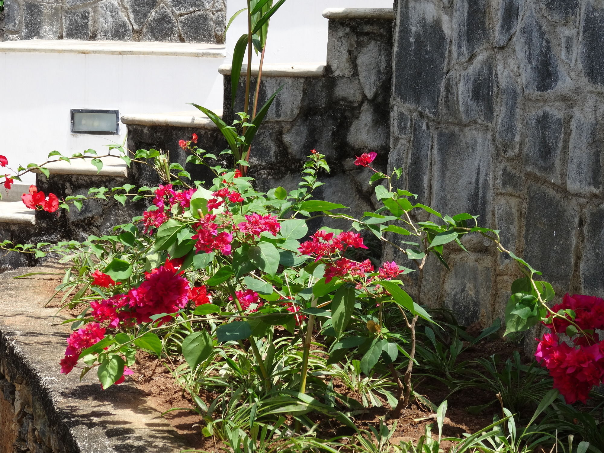 Amandari Holiday Villa Gelioya Luaran gambar